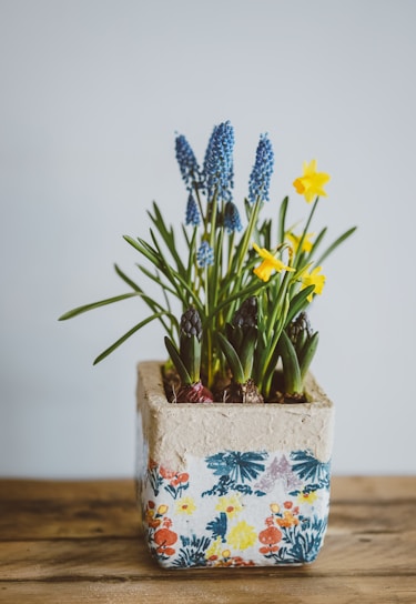 Close-up of carefully carved narcissus bulb with visible roots and fresh leaves, styled in a traditional Vietnamese ceramic bowl for Tet celebration.
