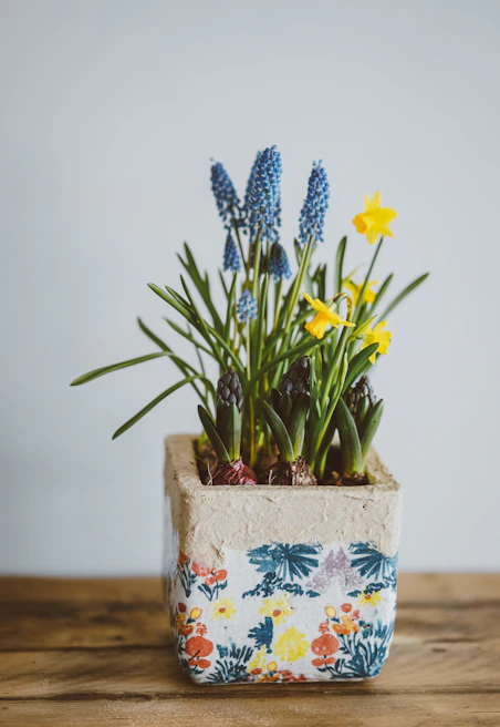 A charming container arrangement with hyacinths and daffodils on a rustic patio