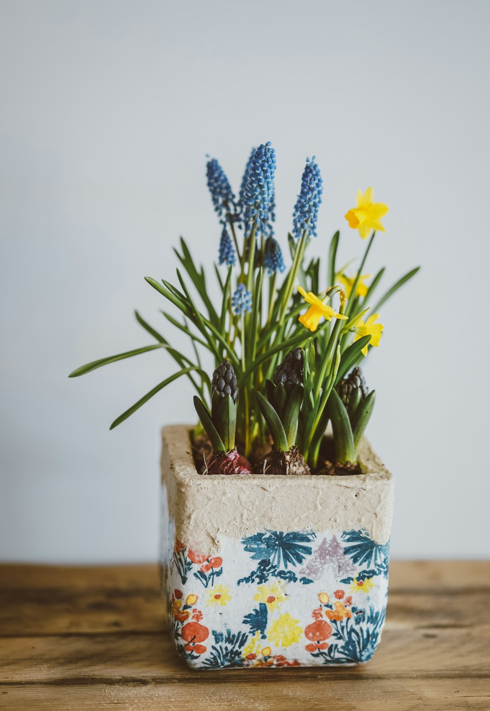 fleurs jaunes et bleues sur vase