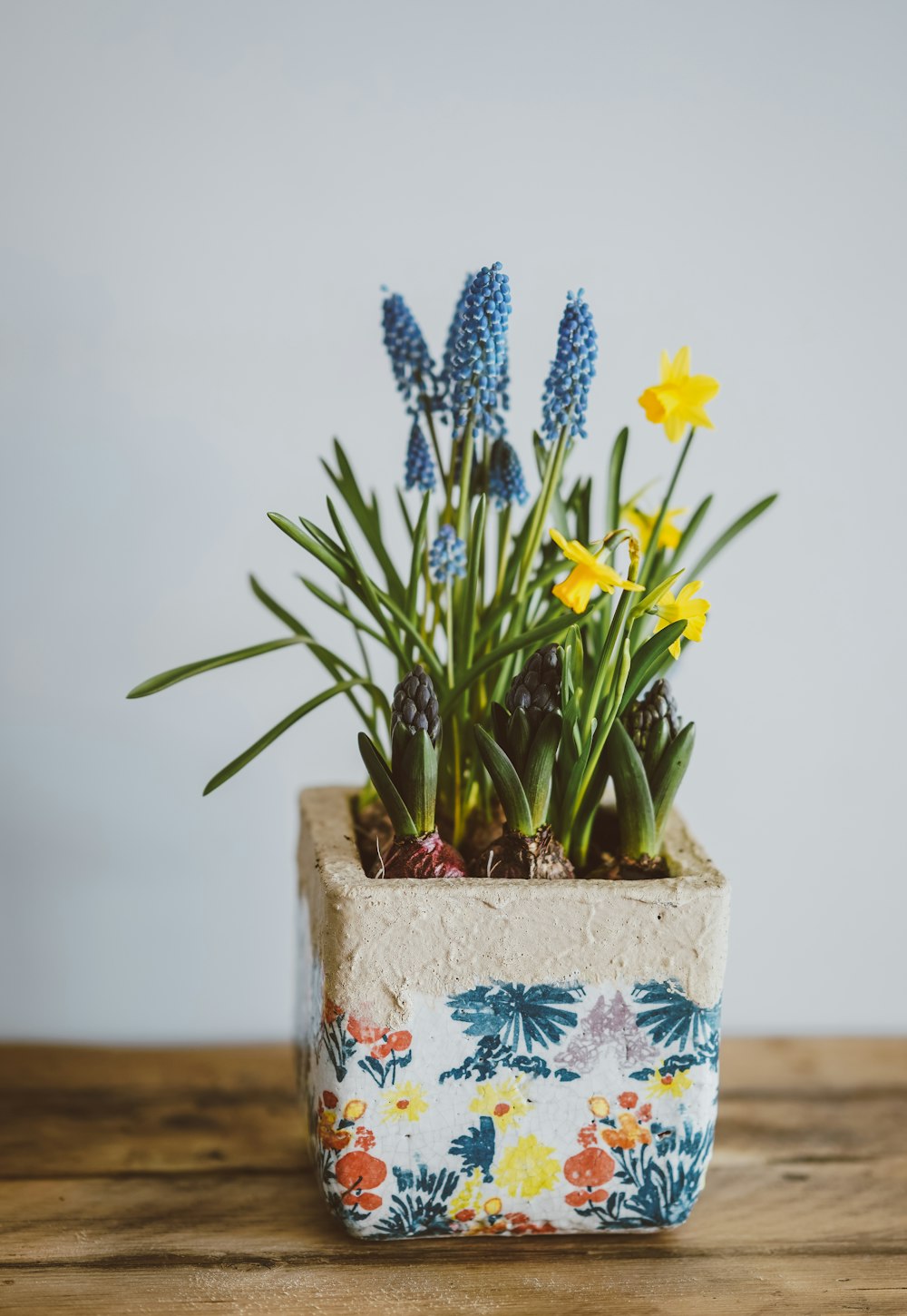 fiori gialli e blu sul vaso