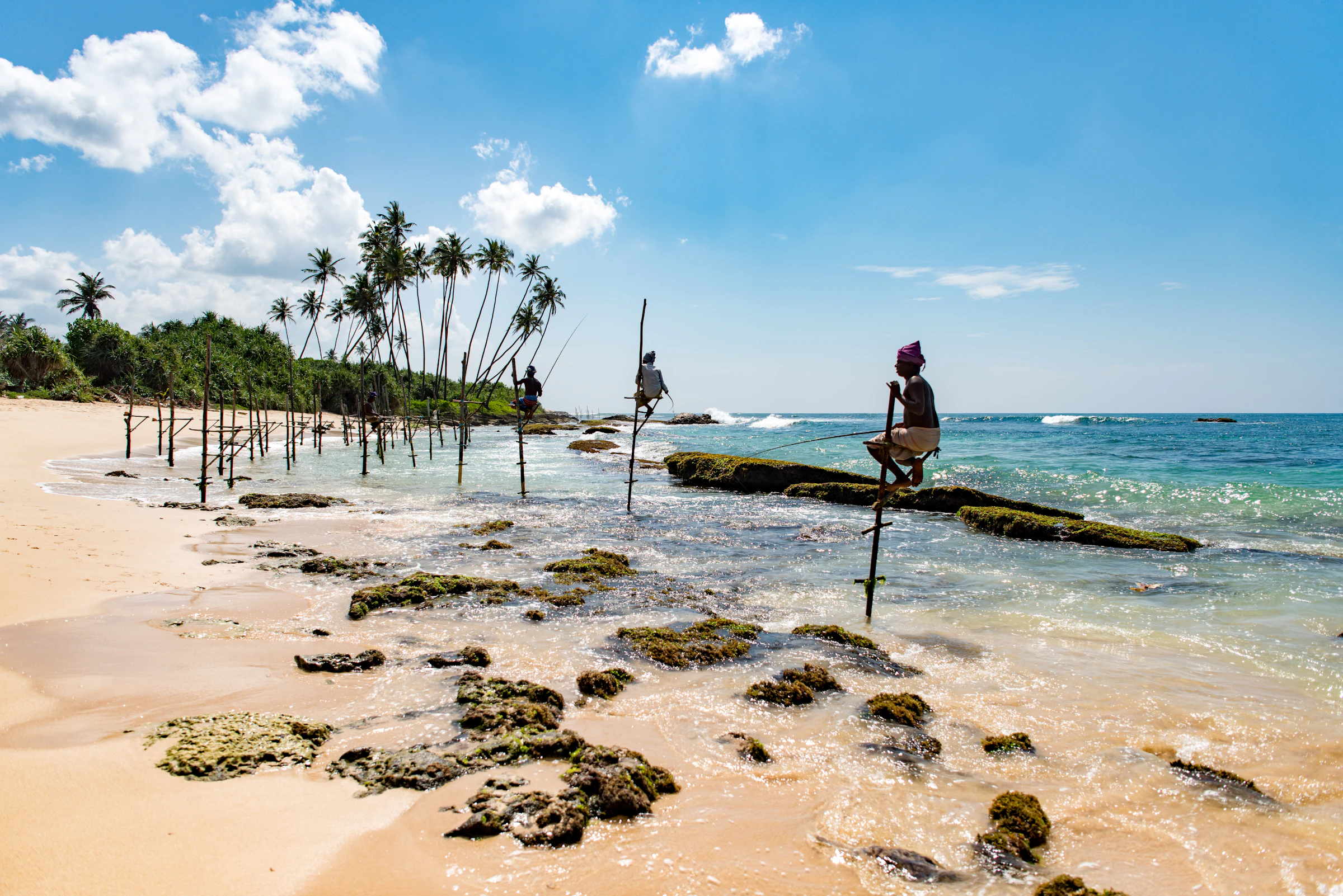 Stilt fishermen in the shallow waters of southern Sri Lanka