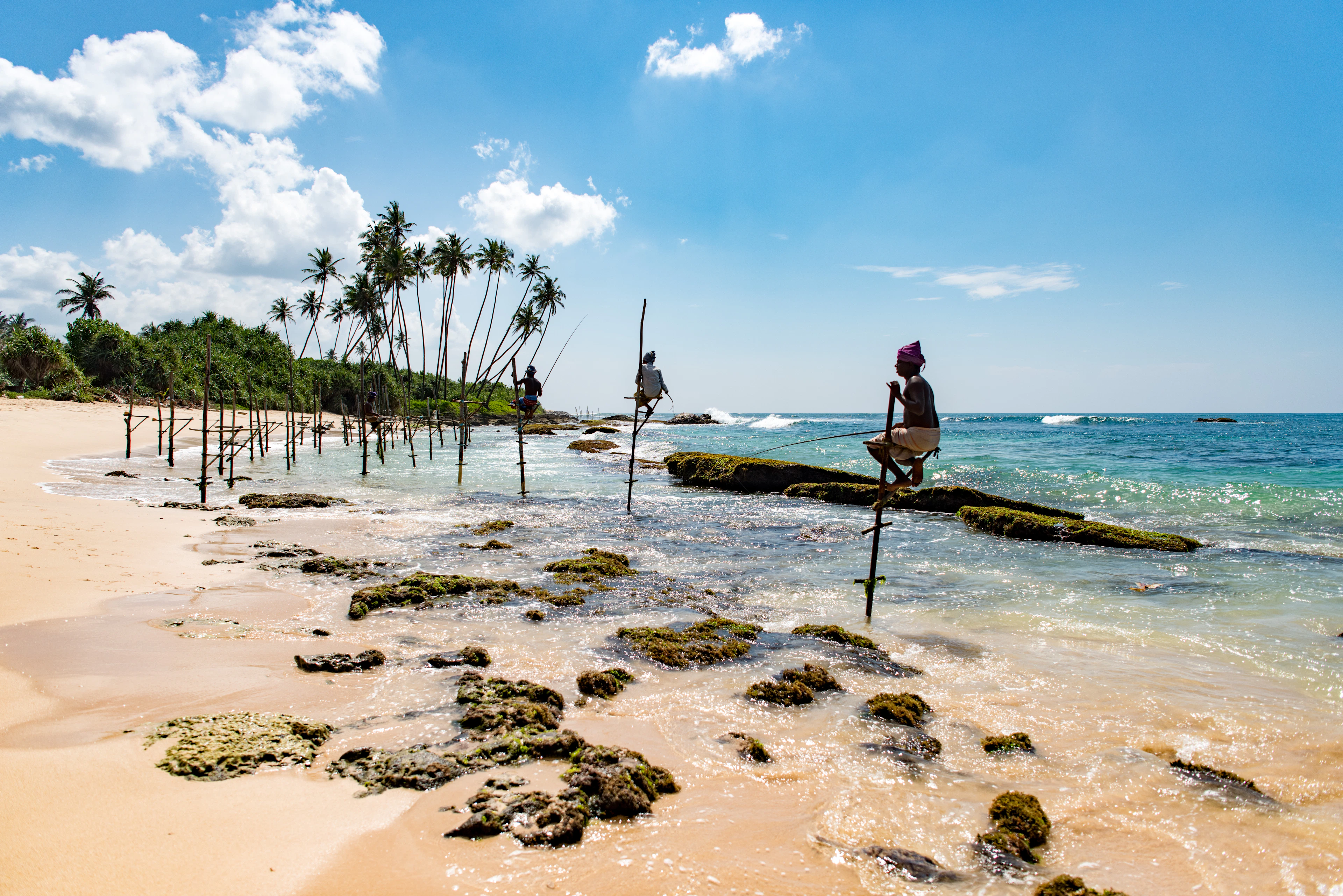 Stilt fishermen in the shallows at Mirissa
