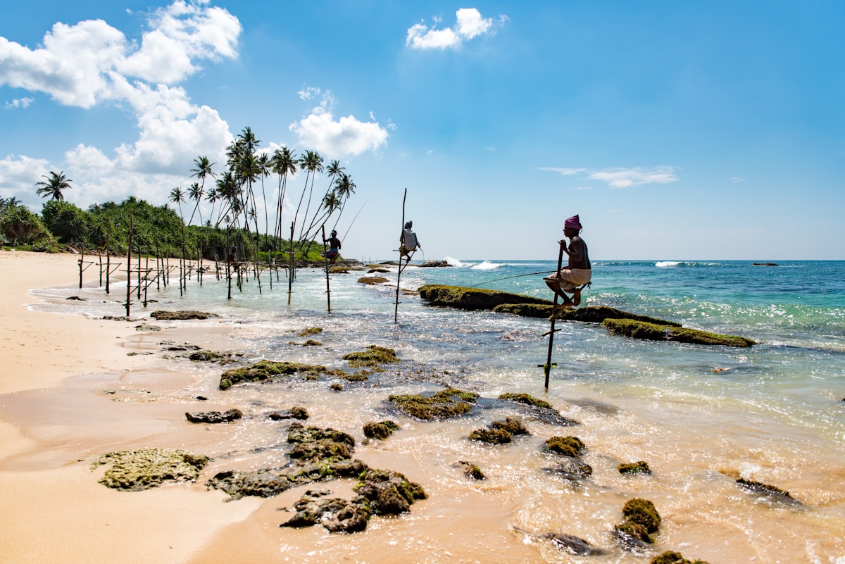 Sri Lanka January — Mirissa beach on the south coast with tropical palms and turquoise Indian Ocean in perfect dry-season conditions