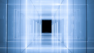 mirrored pathway