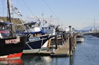 Several fishing boats are docked at a marina on a sunny day. The boats have names visible on the sides, such as 'WHITEY W.' and 'WONIYA'. The marina dock stretches along the right side of the image, with water reflecting the boats and the clear sky above. Hills and distant mountains are visible in the background.