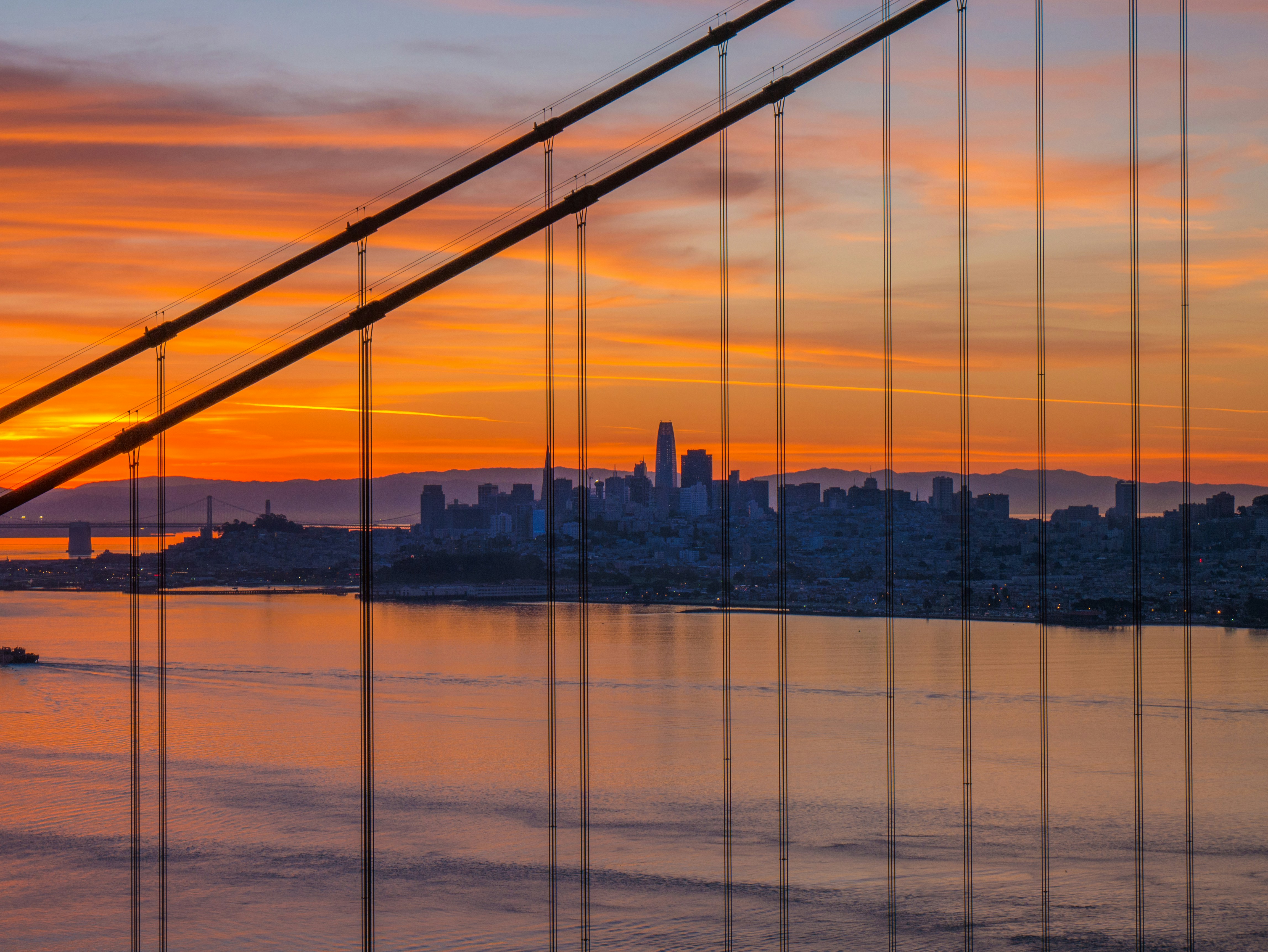 Day Around the Bay: Grand Princess Cruise Ship Docks at Pier 35 to Refuel and Restock on Supplies