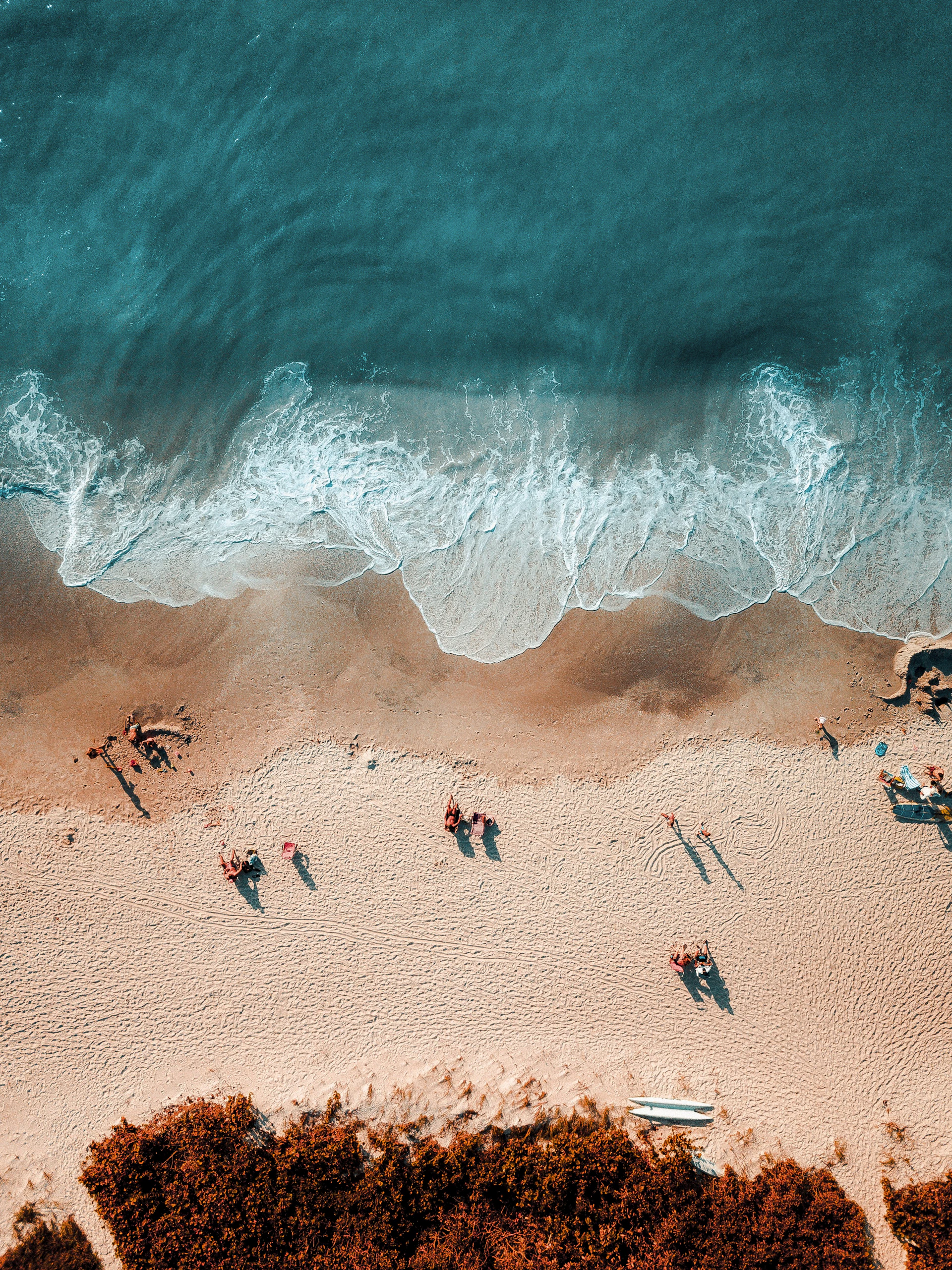 aerial photography of people near shoreline
