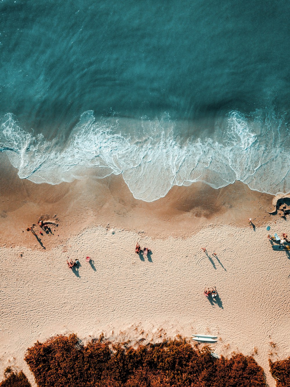Photographie aérienne de personnes près du rivage