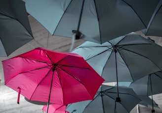 assorted umbrellas hanging on ceiling