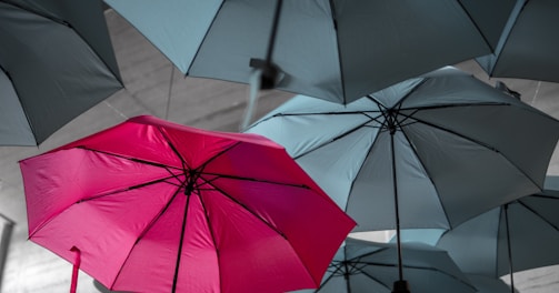 assorted umbrellas hanging on ceiling