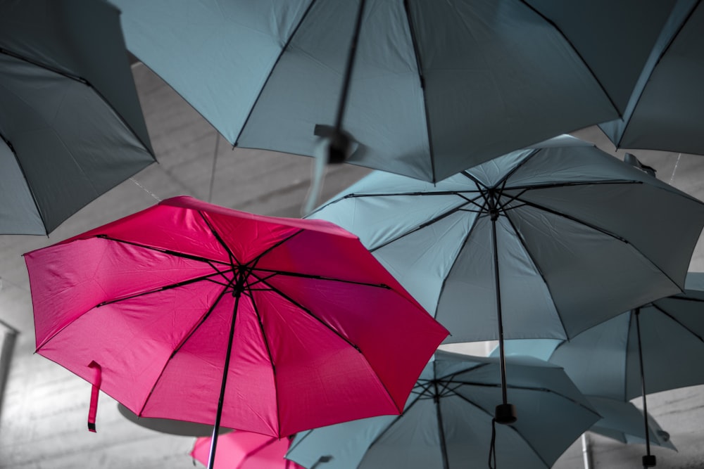 verschiedene Regenschirme, die an der Decke hängen