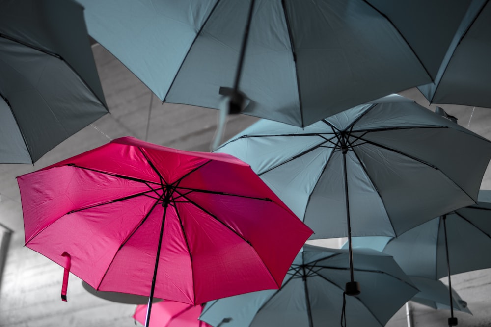 guarda-chuvas variados pendurados no teto