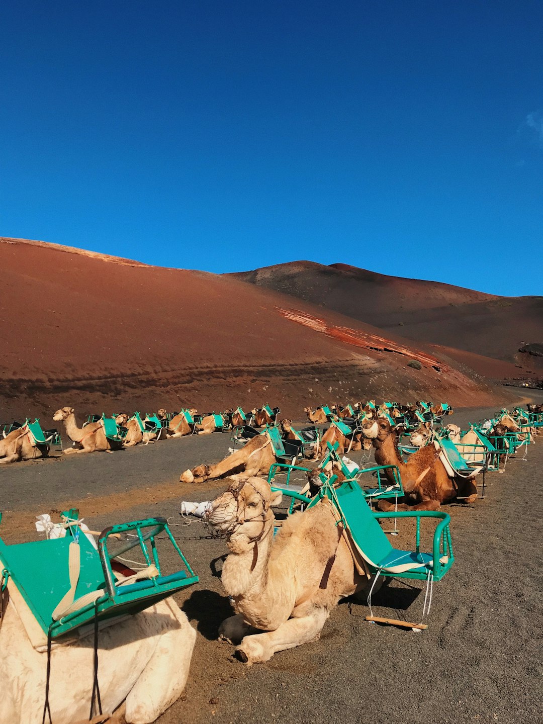 Desert photo spot Lanzarote Fuerteventura