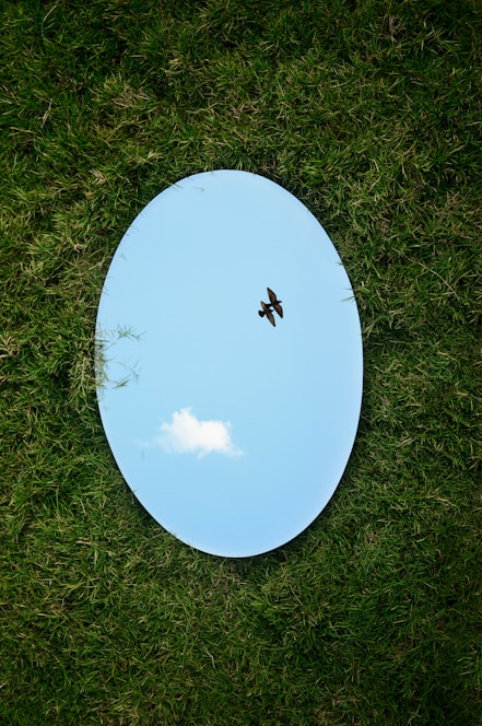 a bird flying in the sky through a circular mirror