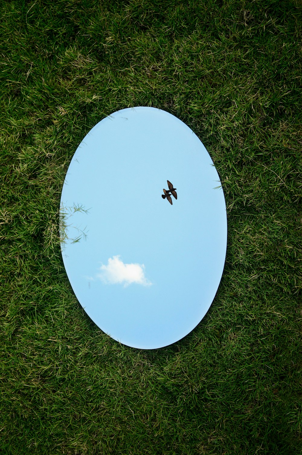 um pássaro voando no céu através de um espelho circular