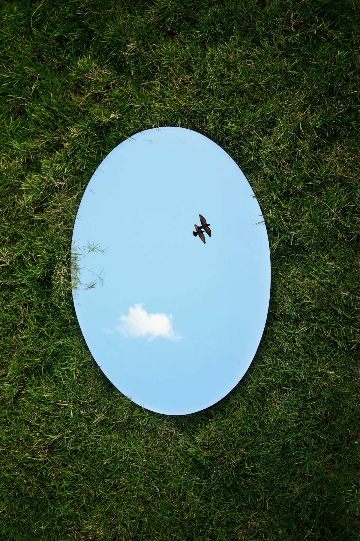 Calm illustrative image for the term Self-esteem