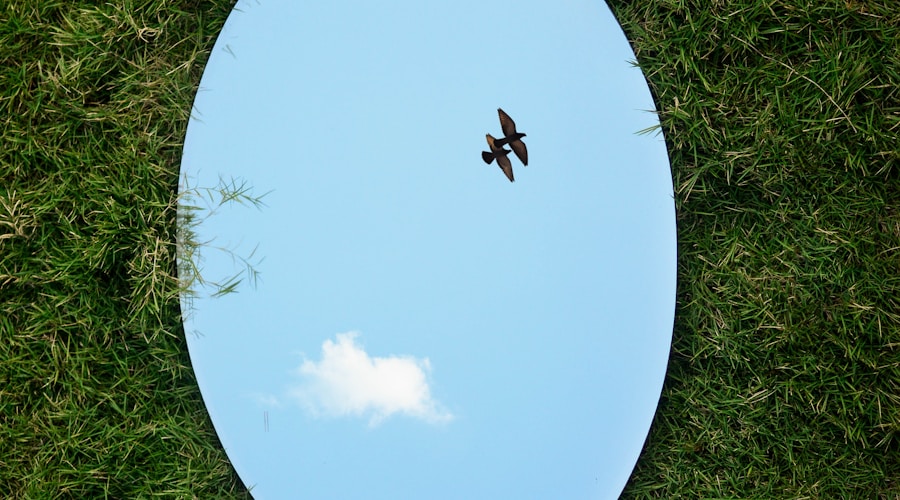 a bird flying in the sky through a circular mirror