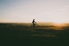 person riding bicycle near grass in sunset
