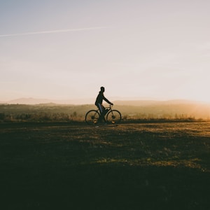 person riding bicycle near grass in sunset