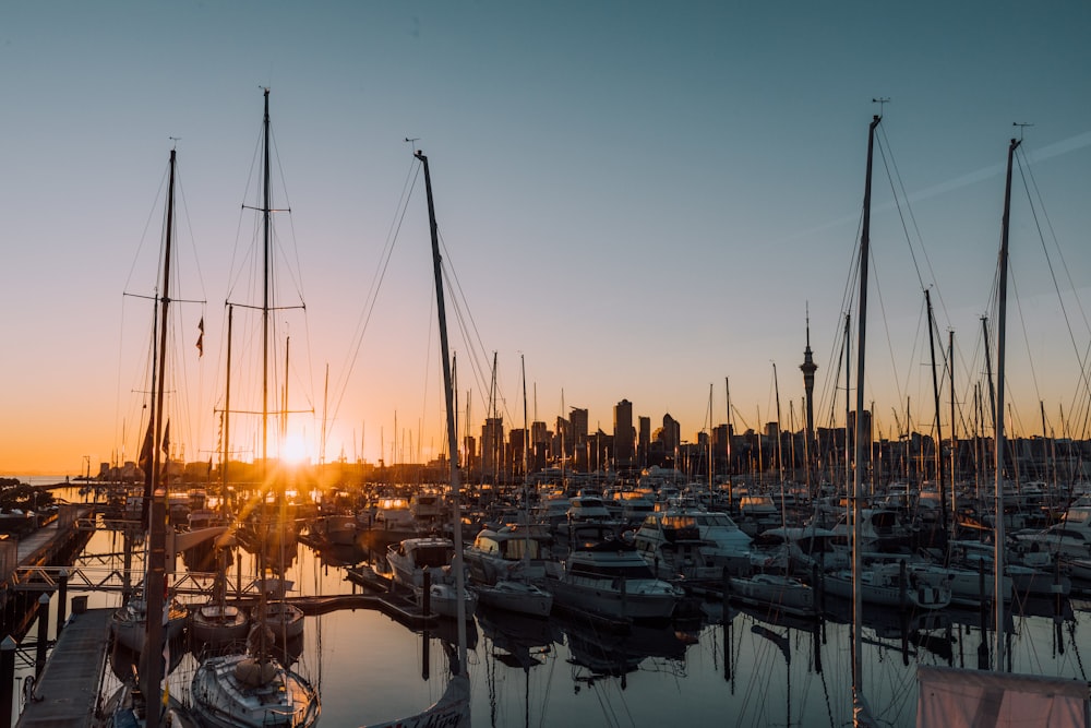 dock boats on the port during sundown