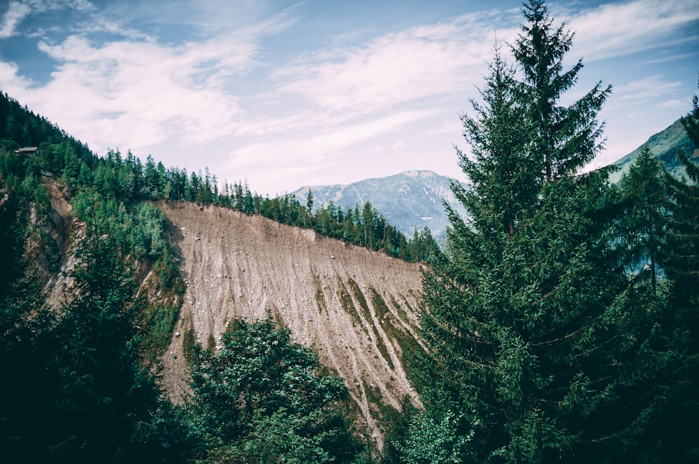 bottom view of brown mountain