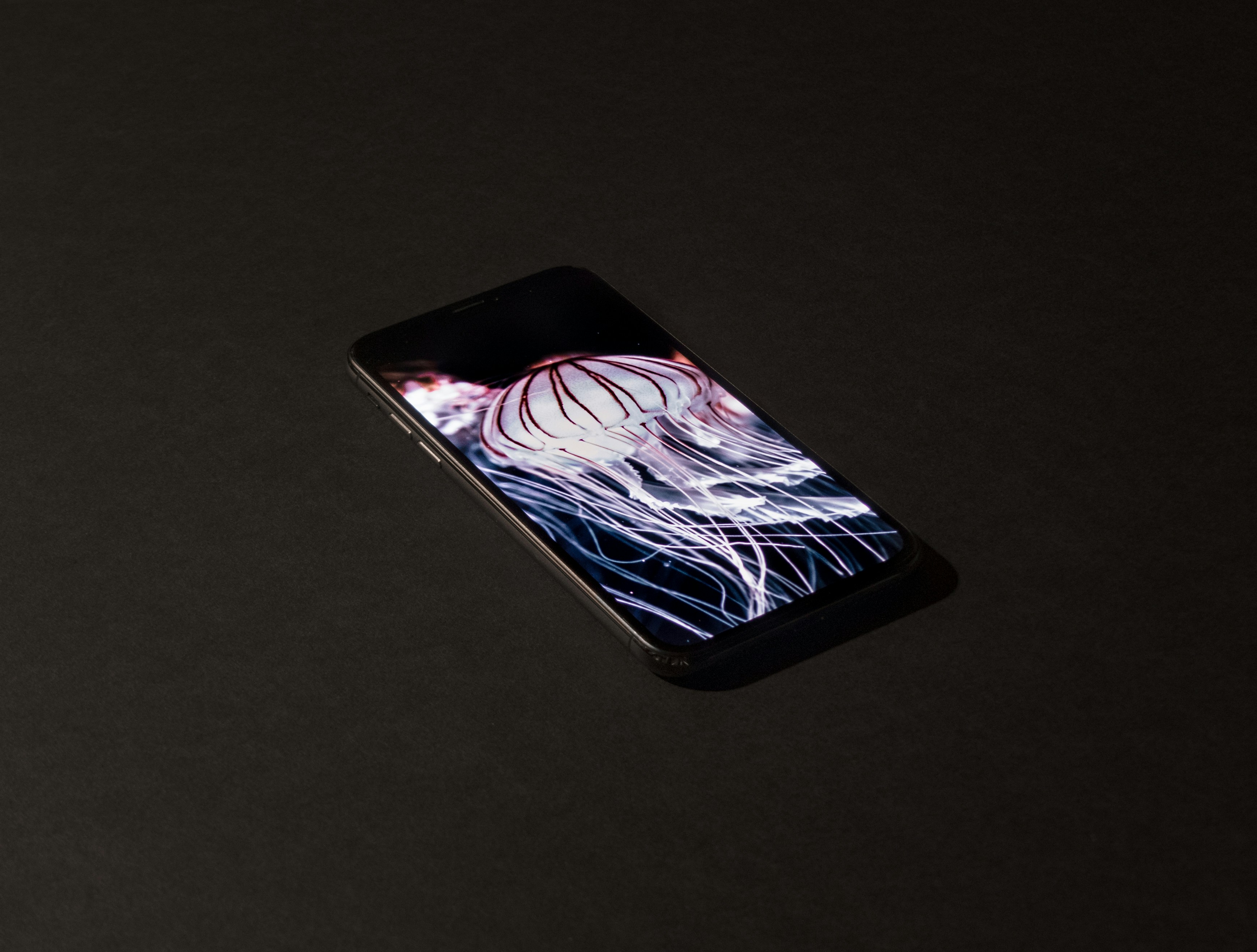 Jelly Phone