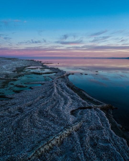 blue body of water in Salton Sea United States