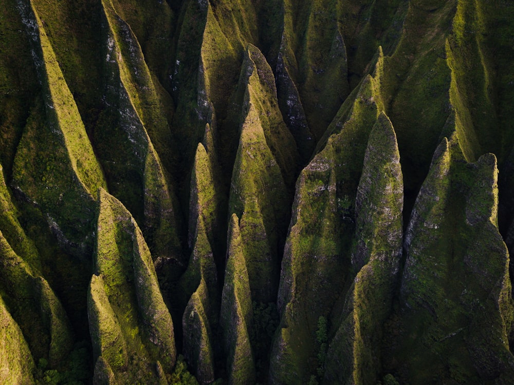 a large group of rocks with moss growing on them