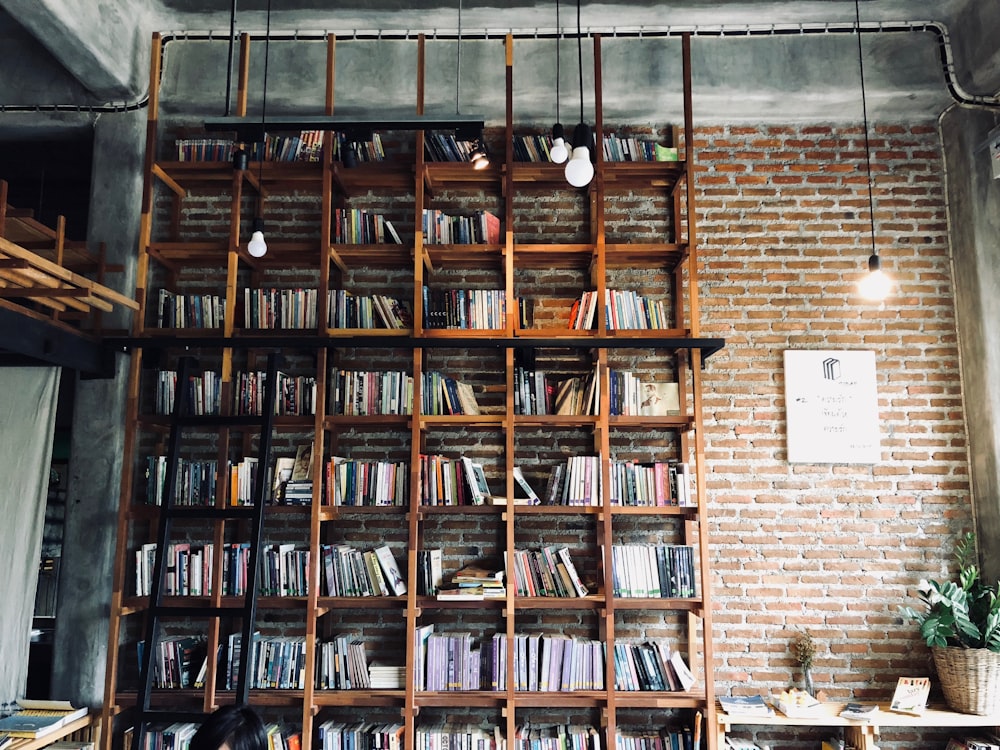 books on shelves