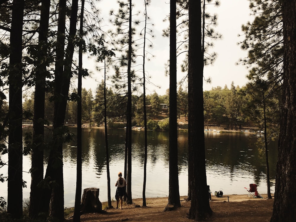 woman standing near forest tree