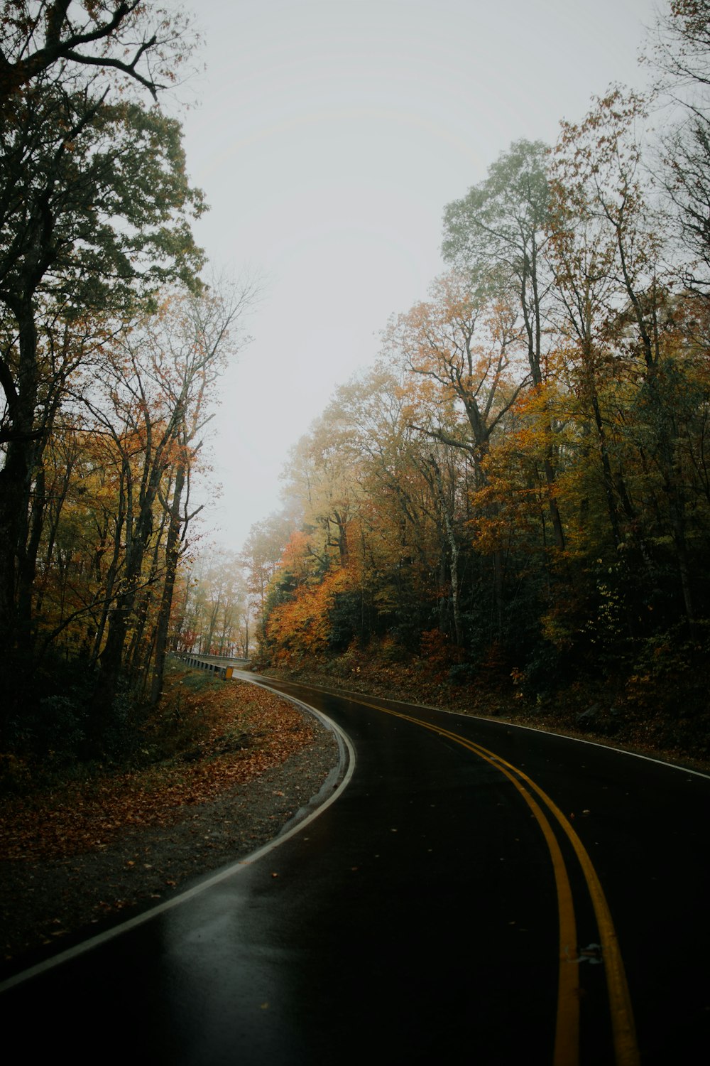 Carretera asfaltada durante un día lluvioso