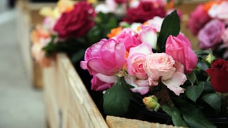 A vibrant collection of assorted flowers arranged in wooden crates, featuring a range of pink and red roses surrounded by lush green leaves. The flowers are in full bloom, creating a colorful and lively display.