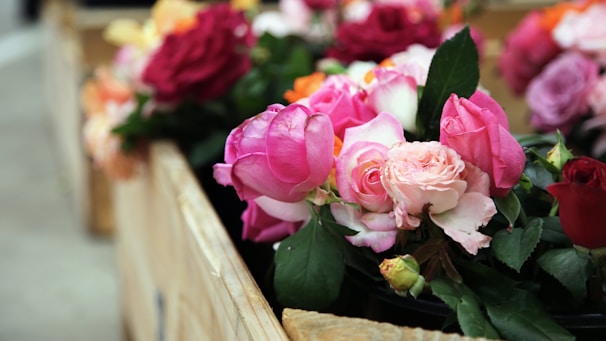 A vibrant collection of assorted flowers arranged in wooden crates, featuring a range of pink and red roses surrounded by lush green leaves. The flowers are in full bloom, creating a colorful and lively display.