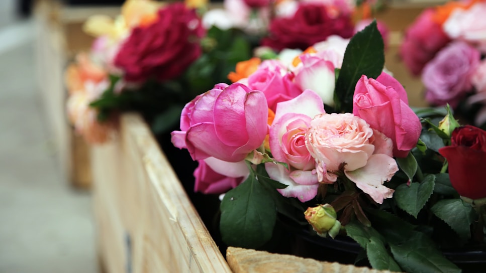 A vibrant display of fresh flowers in various colors arranged in rustic wooden crates.