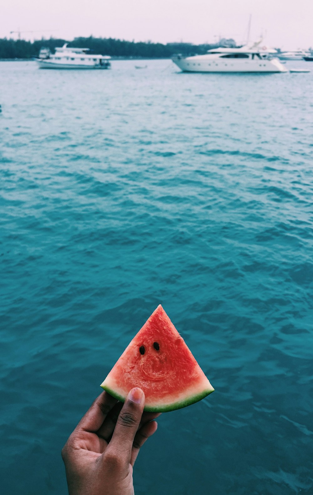 person holding sliced watermelon near body of water