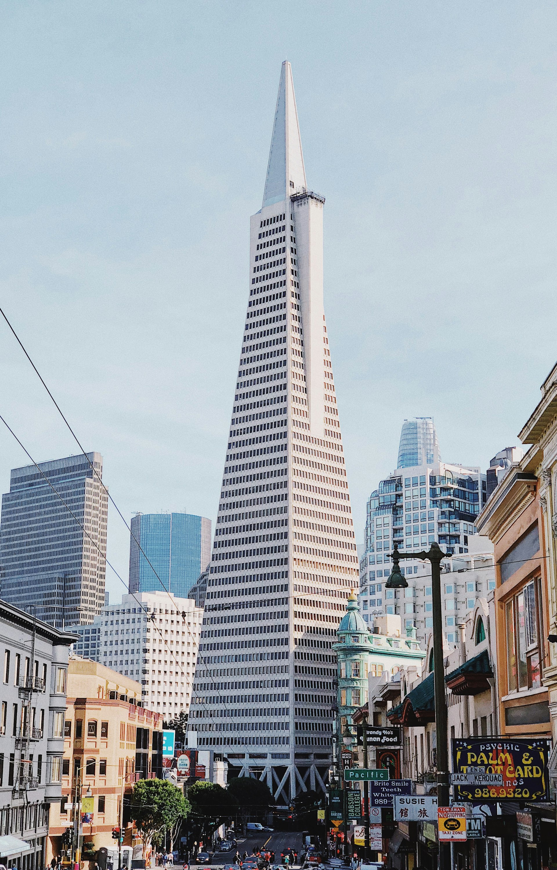San Francisco Transamerica Pyramid skyline