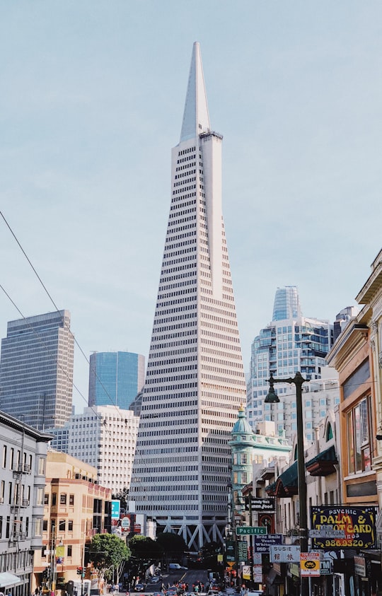 white concrete building in Transamerica Pyramid United States