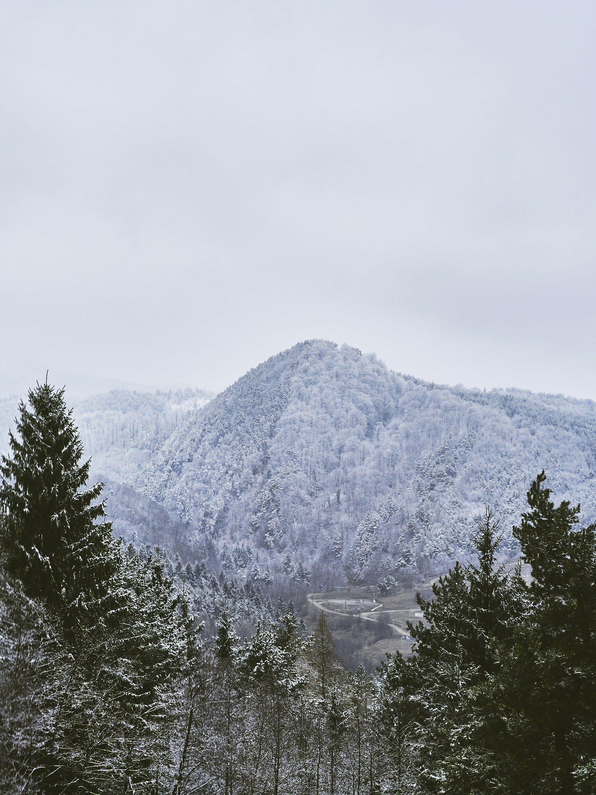 Photo by constantinphoto