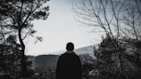 A solitary person stands with their back to the viewer, surrounded by tall trees in a silhouette. The landscape features soft hills and a hazy sky, creating a serene and contemplative atmosphere.