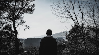 A solitary person stands with their back to the viewer, surrounded by tall trees in a silhouette. The landscape features soft hills and a hazy sky, creating a serene and contemplative atmosphere.
