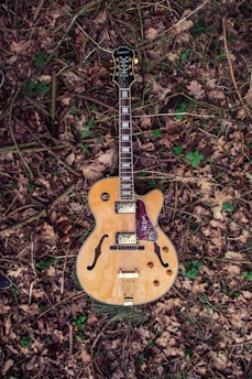 brown and red Epiphone acoustic guitar