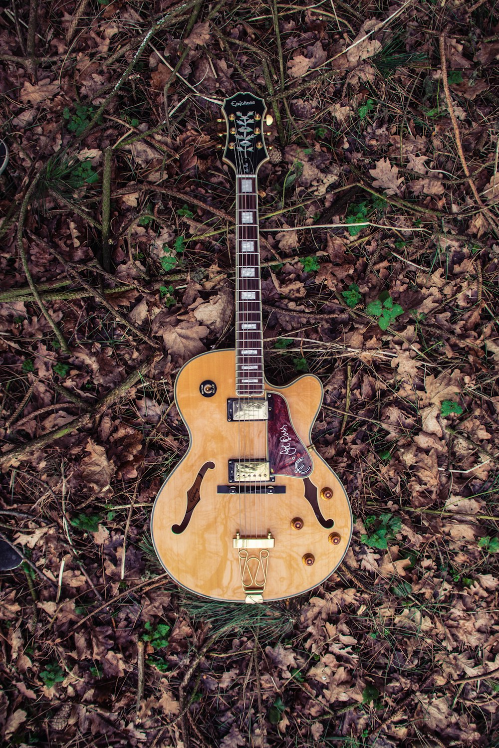 brown and red Epiphone acoustic guitar