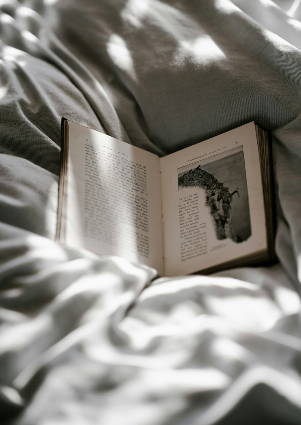 opened-book on top of bed sheet