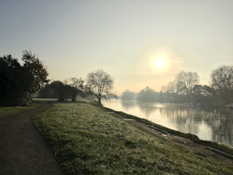 A peaceful moment of reflection by a riverbank, symbolizing new paths and fresh starts.