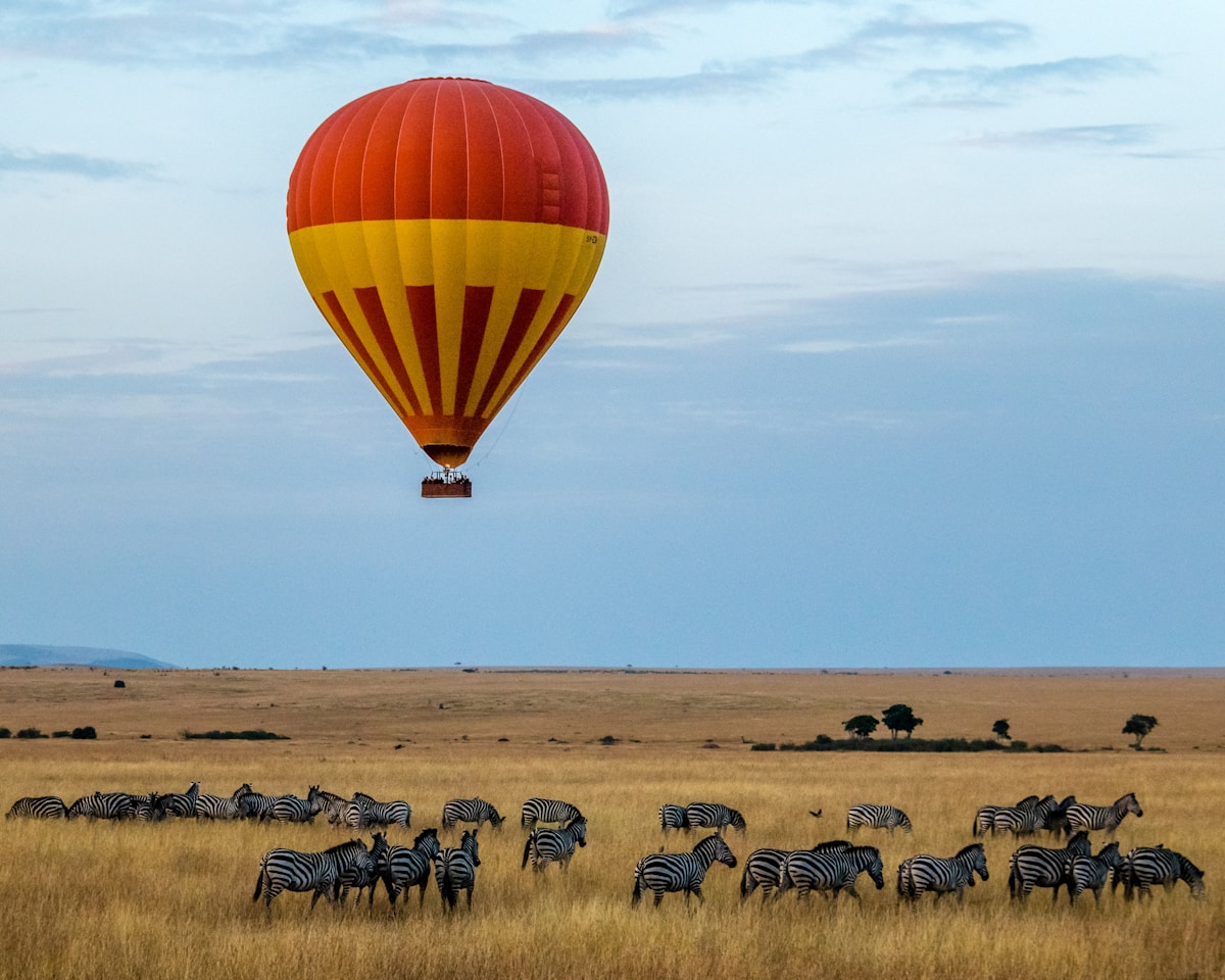 Hot air balloon floating over the African savanna with zebras below at sunrise