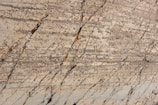 Natural stone surface with visible layers and veins, showcasing a blend of earthy colors and rough textures.