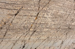 Natural stone surface with visible layers and veins, showcasing a blend of earthy colors and rough textures.