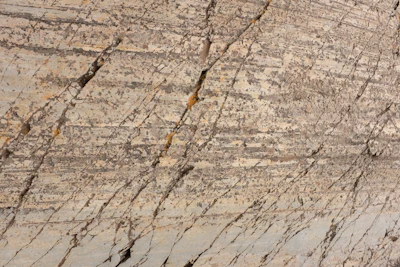 Natural stone slabs showcasing varied textures and earthy colors.
