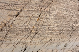 Natural stone surface with visible layers and veins, showcasing a blend of earthy colors and rough textures.