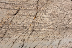 Natural stone surface with visible layers and veins, showcasing a blend of earthy colors and rough textures.
